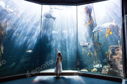Preview: Child girl pointing toward fish while standing at three-panel aquarium exhibit with kelp plants