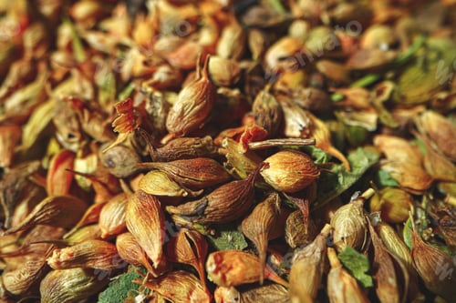 Preview: Pile of dry spices macro shot for background