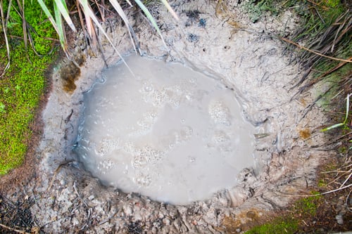 Preview: Hot Bubbling Mud Pool at Orakei Korako Thermal Park, The Hidden Valley, North Island, New Zealand