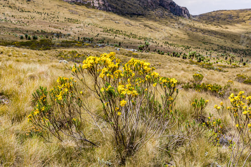 Preview: Kenyan Landscapes Dragons Teeth Mount Satima Lesatima Table Mountain