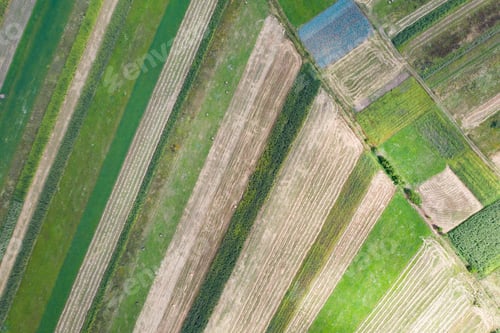 Preview: Spring fields top view.