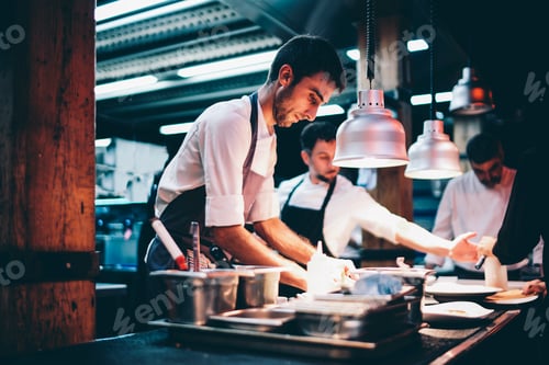 Preview: Cook serving food on a plate in the kitchen of a restaurant