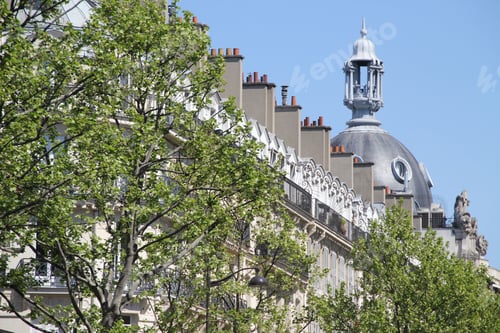 Preview: Classic Parisian architecture with dome and trees.