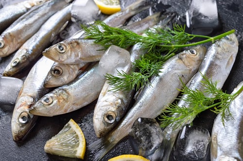 Preview: Freshly caught Baltic herring on black stone background with ice.