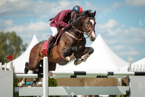 Preview: Horse Jumping, Equestrian Sports, Show Jumping themed photo.