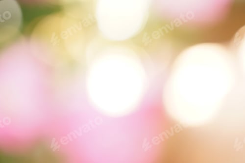 Preview: Bokeh Blur Vivid Background