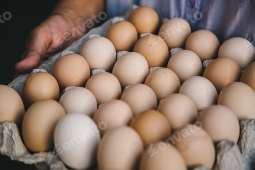 Preview: Close-up of eggs in carton