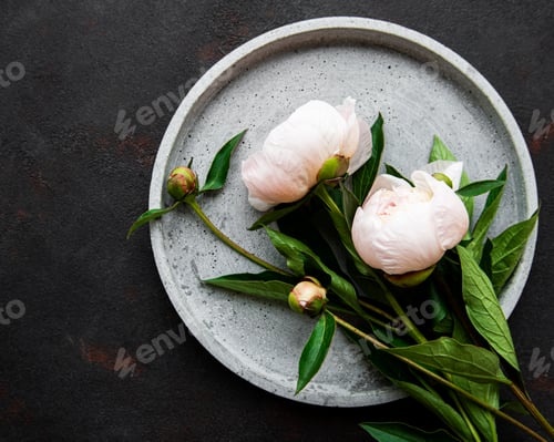 Preview: Spring peonies