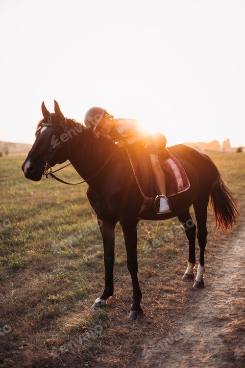 Preview: A rider lovingly embraces their horse against a breathtaking sunset in a tranquil landscape