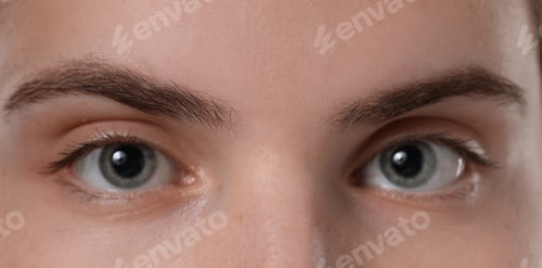 Preview: Eyebrow styling. Young woman with beautiful eyebrows, closeup