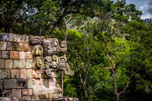 Preview: Carved detail at Mayan Ruins - Copan Archaeological Site, Honduras