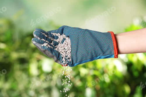 Preview: Woman in glove pouring fertilizer on blurred background, closeup. Gardening time