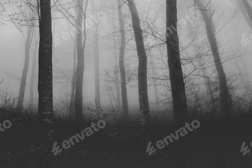 Preview: empty