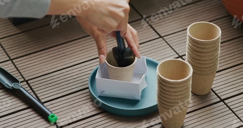 Preview: Put small water spinach sprout into paper cup
