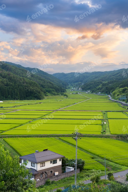 Preview: Nagano Prefecture, Japan at rual Tanokuchi Rice Terraces