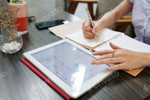 Preview: Businesswoman filling planner