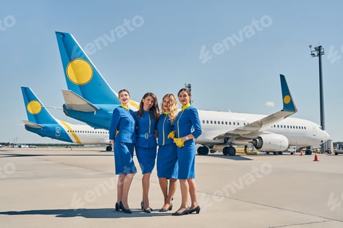 Preview: Elegant flight attendants looking at the camera