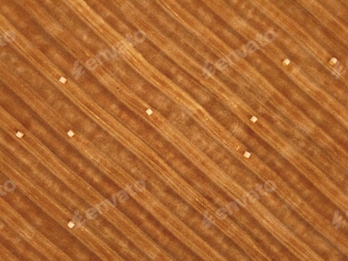 Preview: Aerial view crop wheat rolls of straw in field