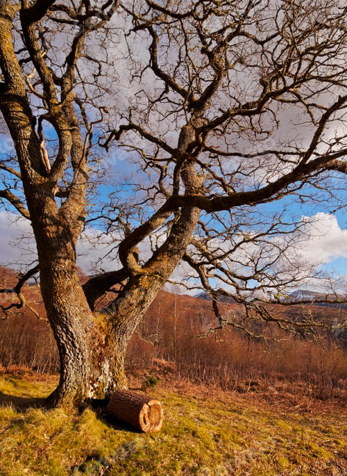 Preview: Scottish Highlands near Roy Bridge