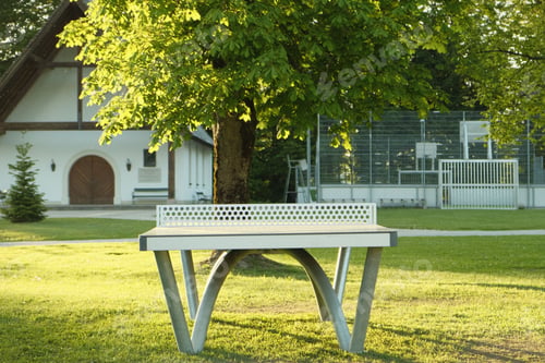 Preview: Ping-Pong table under a tree at a community park