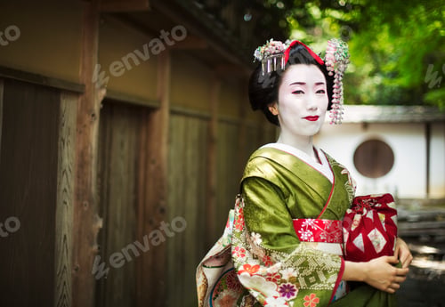 Preview: A woman dressed in the traditional geisha style, wearing a kimono and obi, with an elaborate