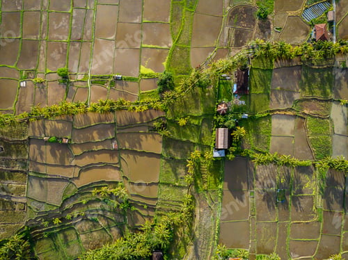 Preview: Aerial shot of buildings in the middle of farming fields