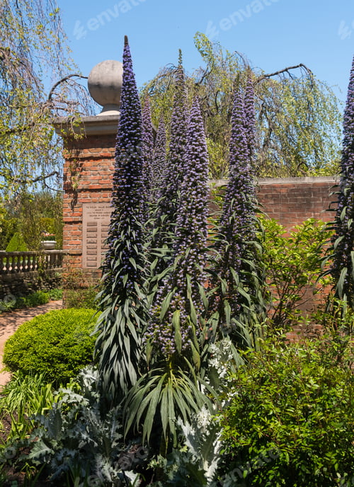 Preview: Flowers On A Tree In A Park