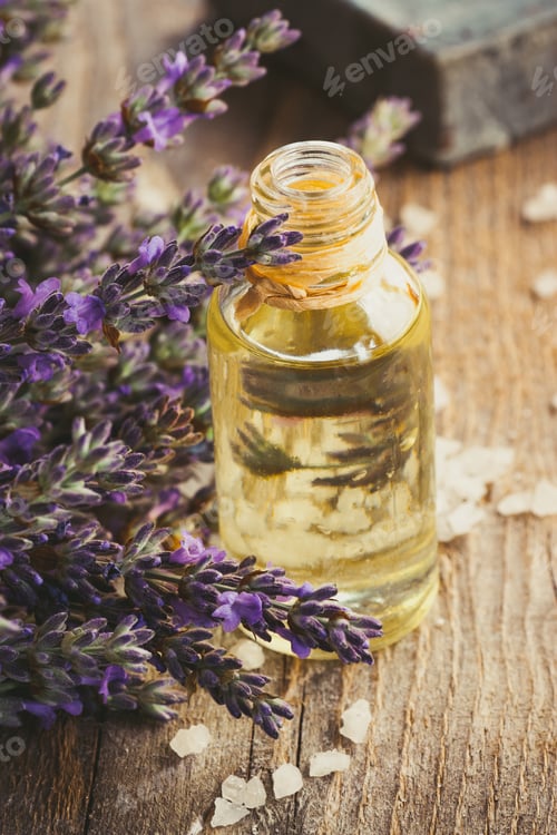 Preview: Lavander