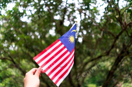 Preview: Patriotic flag held up against out of focus trees
