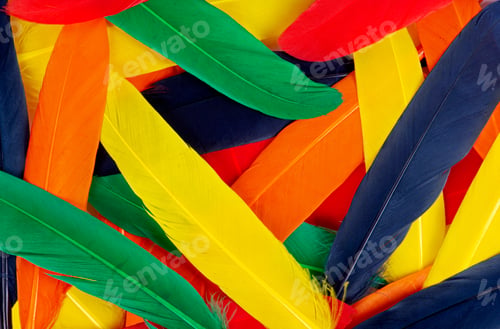 Preview: Colorful of feathers background
