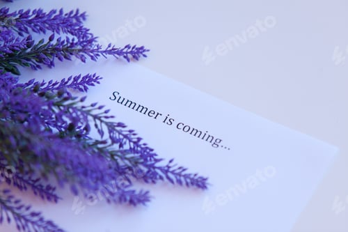 Summer Letter with Delicate Purple Flowers