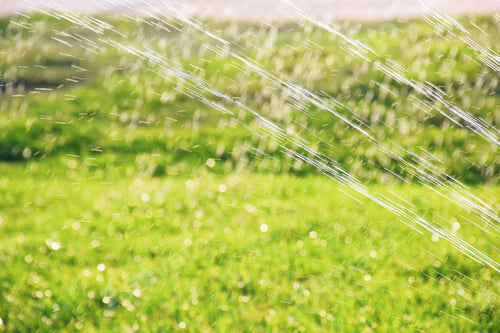 Preview: Garden irrigation sprinkler watering green grass lawn