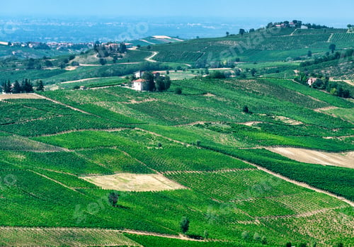 Preview: Oltrepo Pavese (Italy), rural landscape at summer