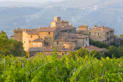 Preview: Vineyard and the medieval village of Volpaia in Tuscany, near Florence in Chianti Italy