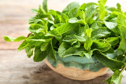 Preview: Bowl with fresh mint on wooden table