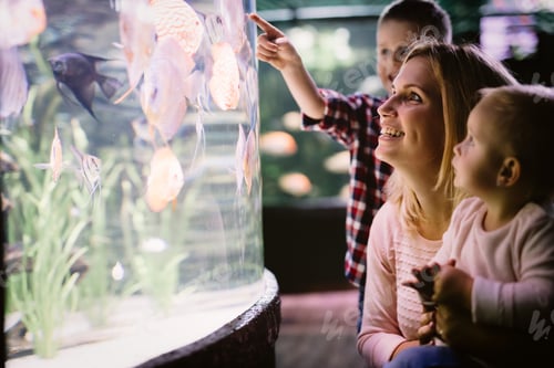 Preview: Mother and her child watching sea life