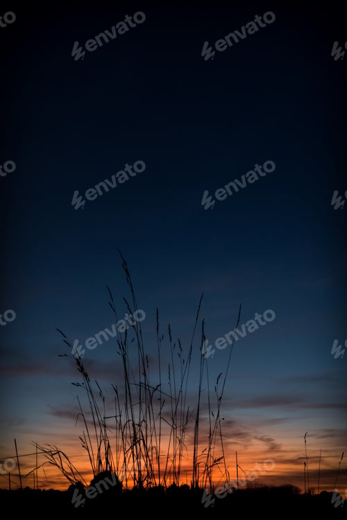 Preview: Grass Silhouette against Sunset