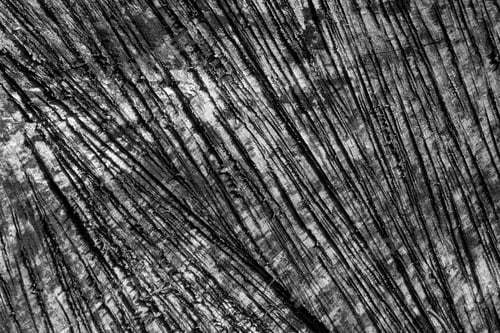 Preview: Wood texture grunge background