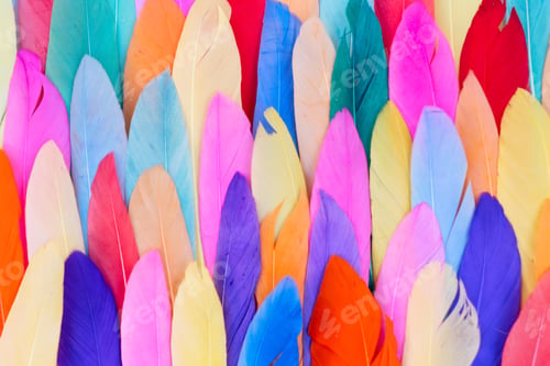 Preview: Colorful pattern made of feathers.