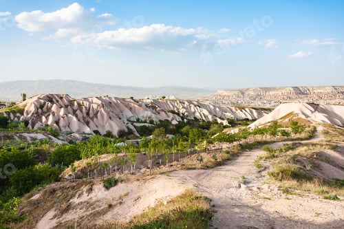 Preview: little orchard near Uchisar village in Cappadocia