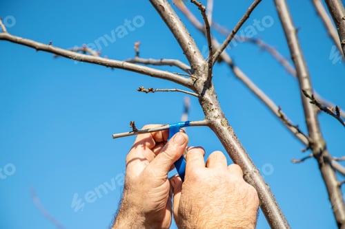 Preview: nature