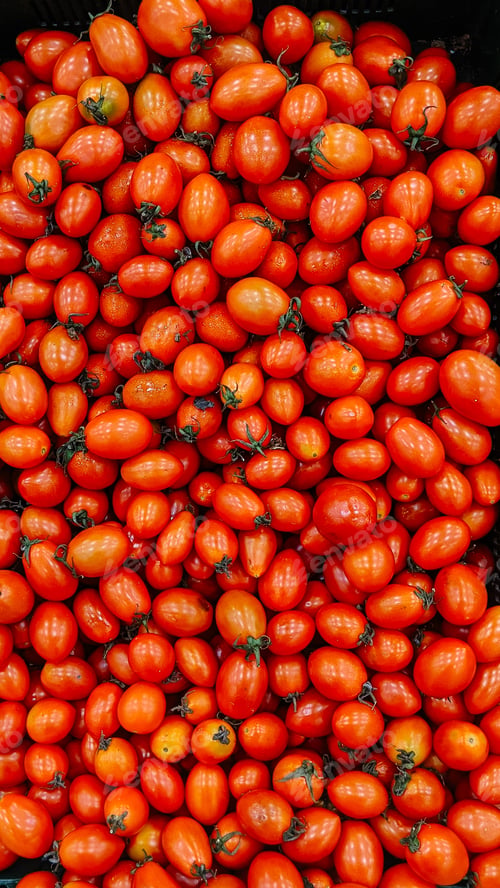 Preview: Red tomatoes. Tray market agriculture farm full of organic vegetables