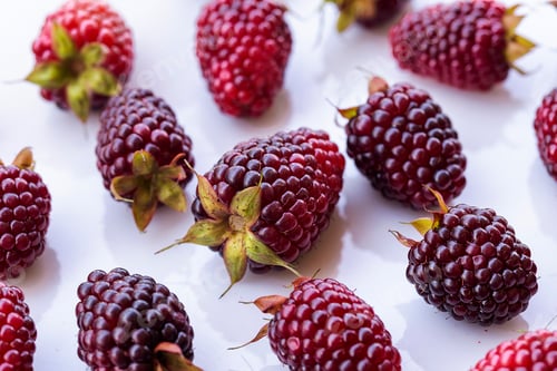 Preview: Fresh Ripe Blackberries Close Up with Natural Texture