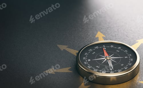 Preview: Compass for Business Orientation or Professional Guidance. Decision Help