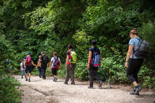 Preview: Group of hikers walks the path