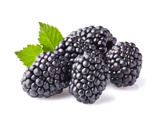 Preview: Blackberry in closeup