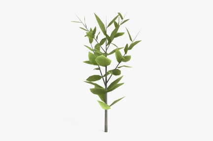 Preview: Stylized Young Tree with Simplified Green Foliage