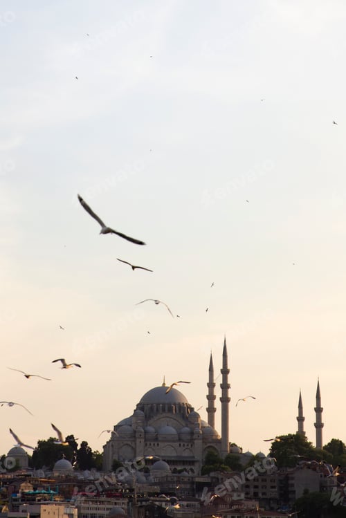 Preview: Suleymaniye Mosque in Istanbul, Turkey at sunset
