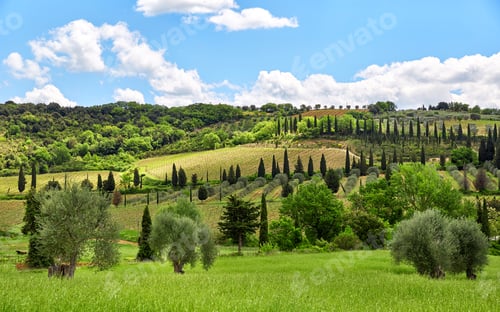 Preview: Tuscany landscape, Toscana, Italy