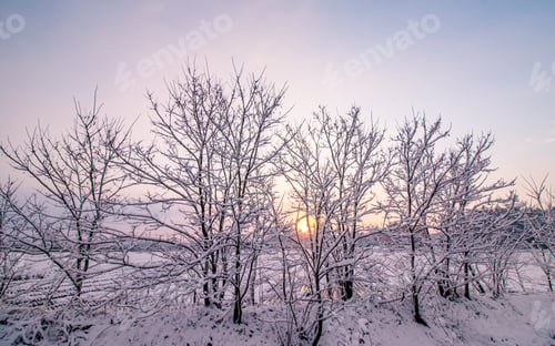 Preview: Sunrise during Winter season